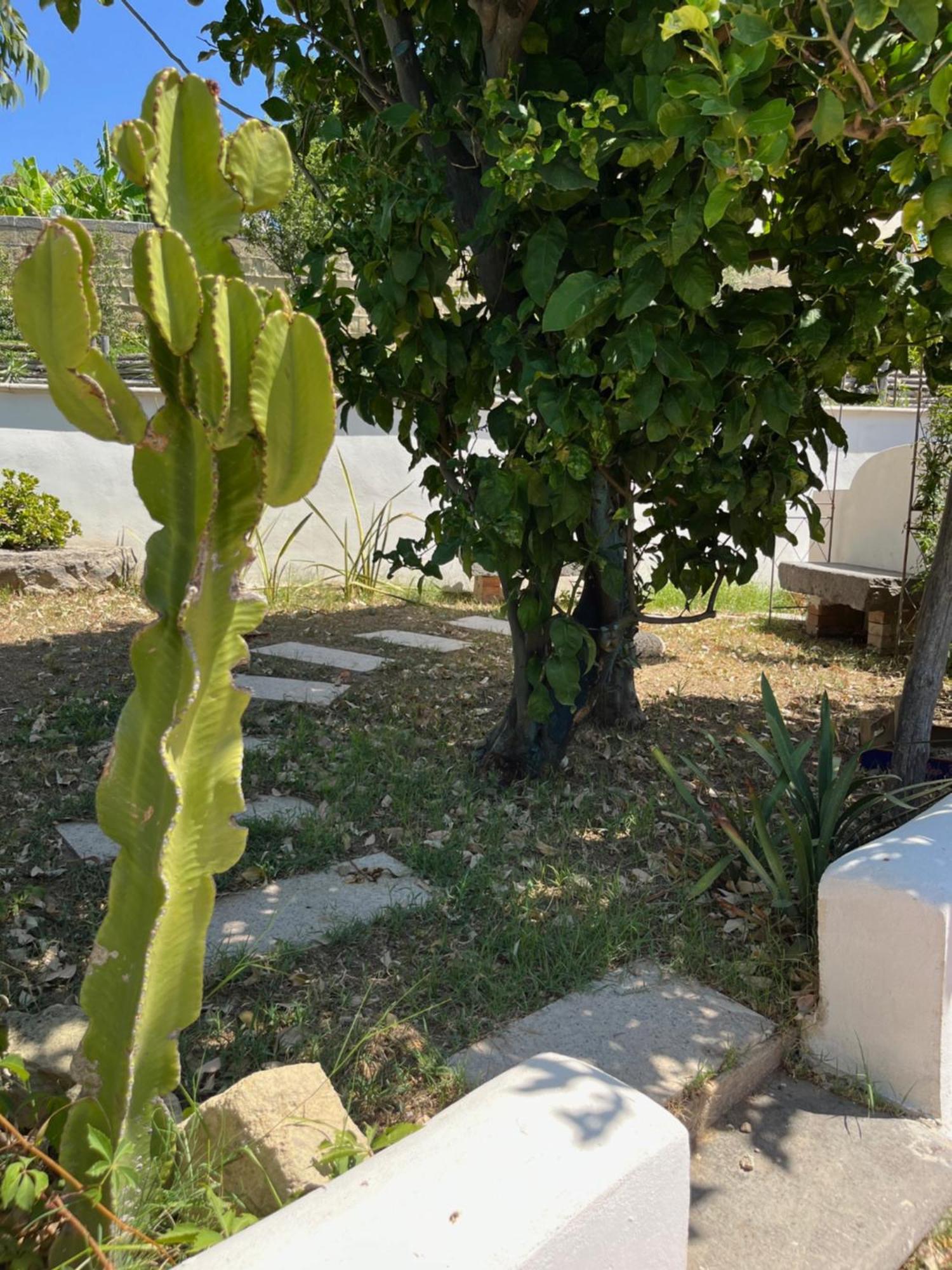 Villa Manni Procida Exteriör bild