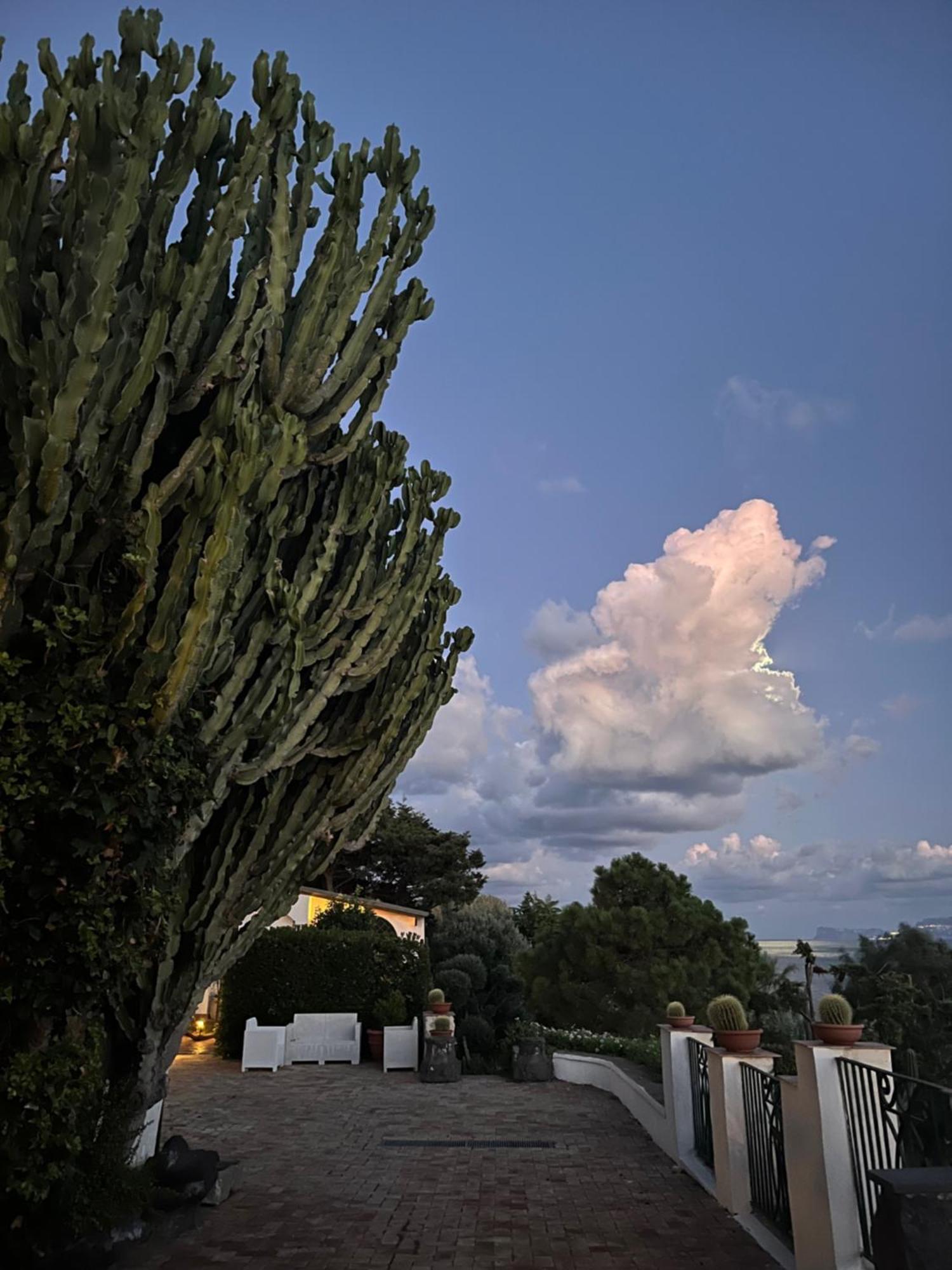 Villa Manni Procida Exteriör bild